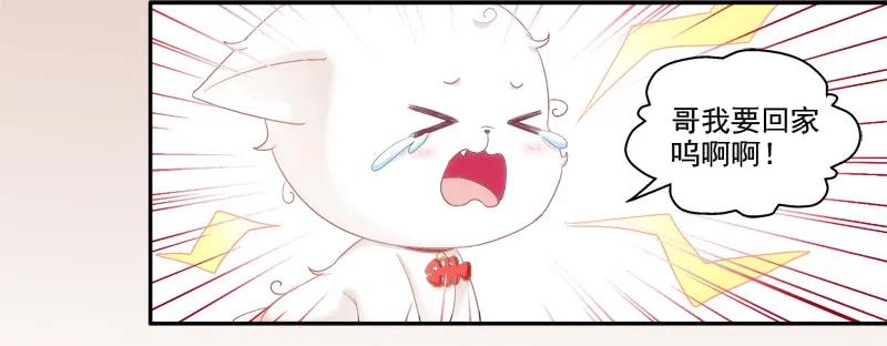 《猫妖的诱惑》我可以吻你吗？ 第59页