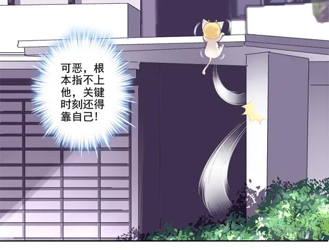 《猫妖的诱惑》我可以吻你吗？ 第20页