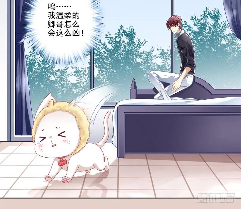 《猫妖的诱惑》我可以吻你吗？ 第47页