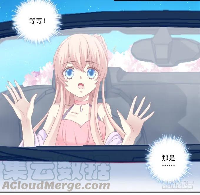 《猫妖的诱惑》沈墨卿vs寒烟君 第33页