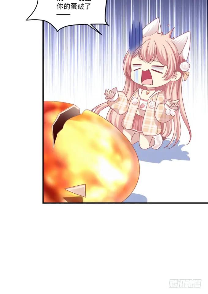 《猫妖的诱惑》凤凰冢八 第26页