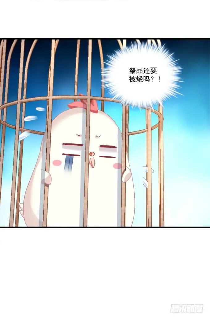 《猫妖的诱惑》凤凰冢十 第47页