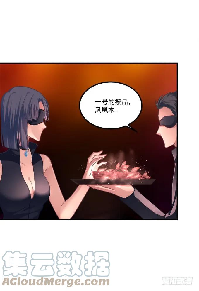 《猫妖的诱惑》凤凰冢十 第43页