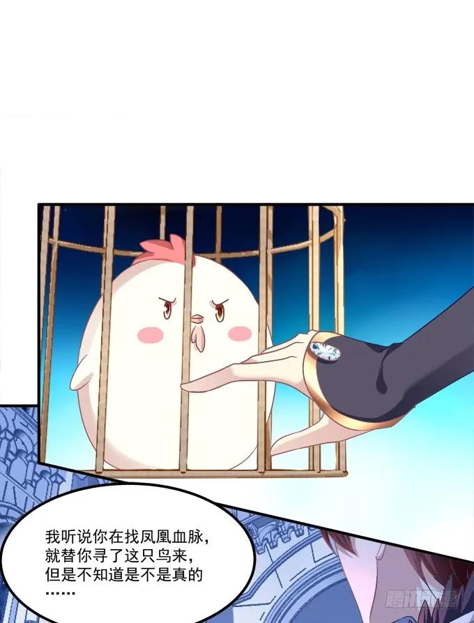 《猫妖的诱惑》凤凰冢十一 第35页