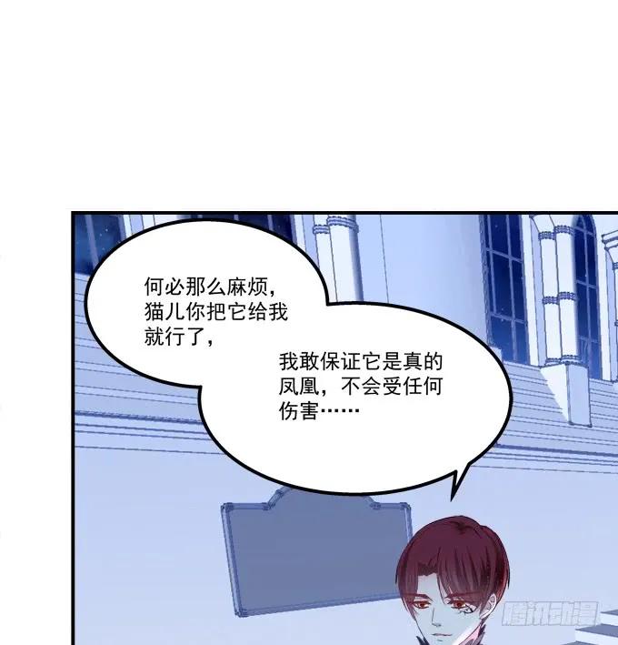 《猫妖的诱惑》凤凰冢十一 第47页