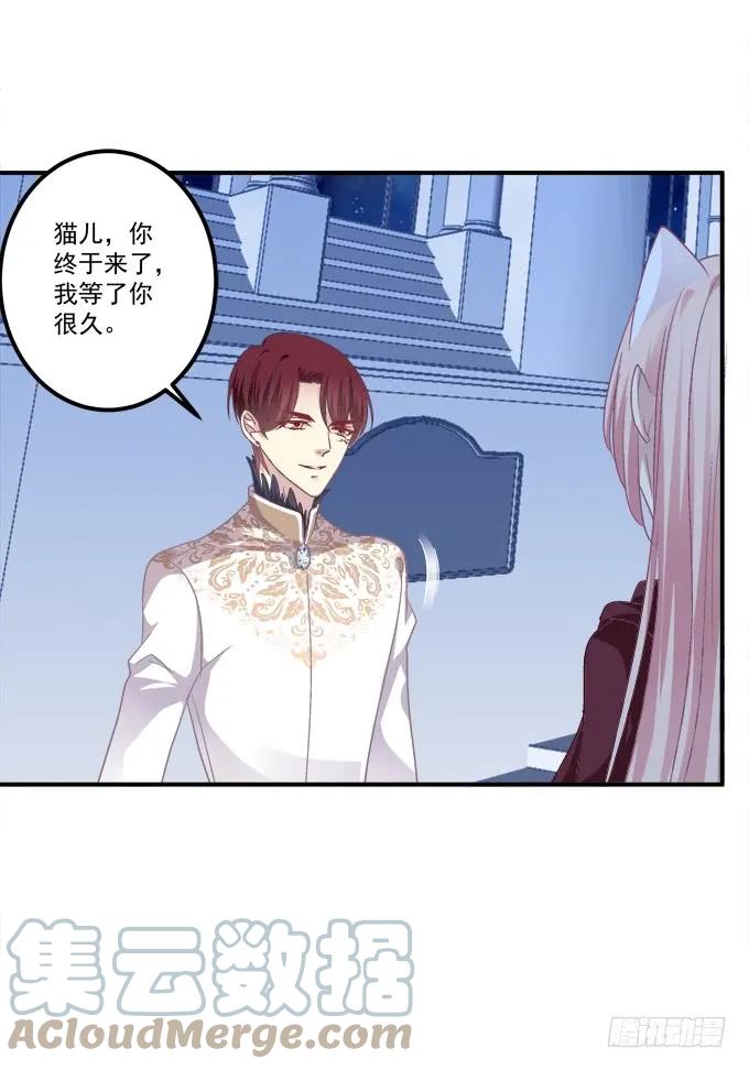 《猫妖的诱惑》凤凰冢十一 第28页