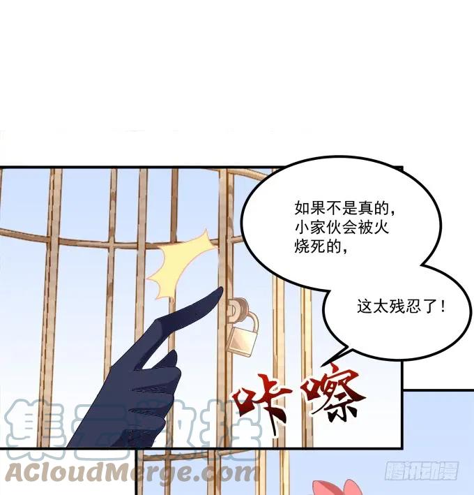 《猫妖的诱惑》凤凰冢十一 第40页