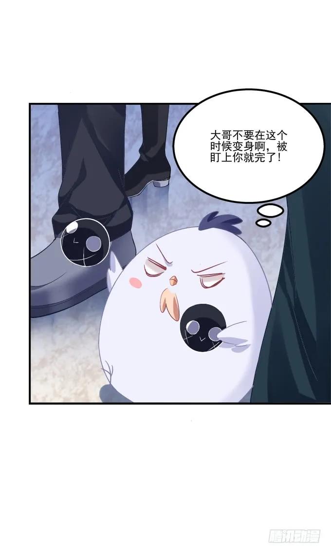 《猫妖的诱惑》凤凰冢十三 第7页