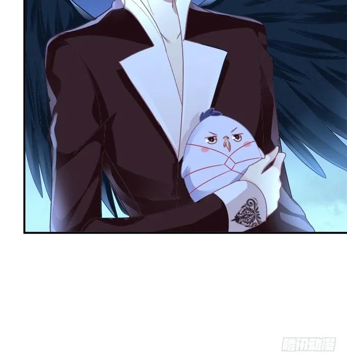 《猫妖的诱惑》凤凰冢十三 第37页
