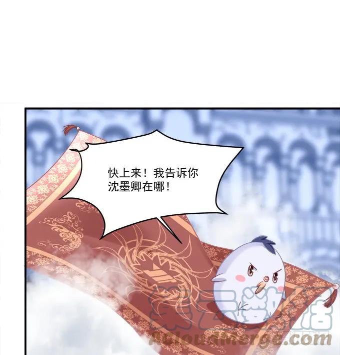 《猫妖的诱惑》凤凰冢十三 第12页