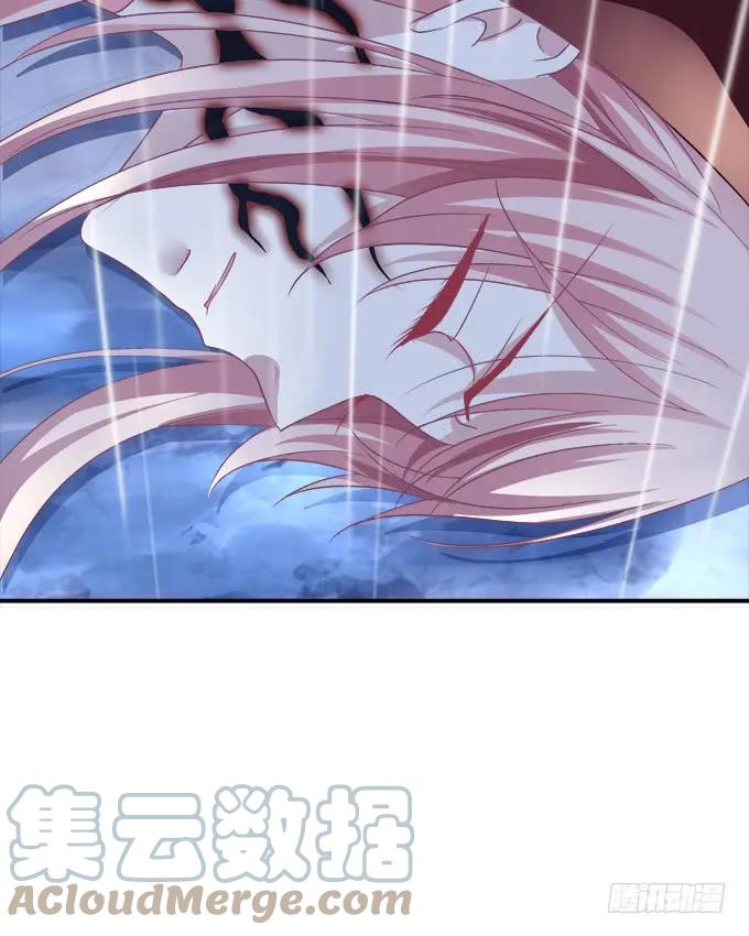 《猫妖的诱惑》凤凰冢十四 第13页