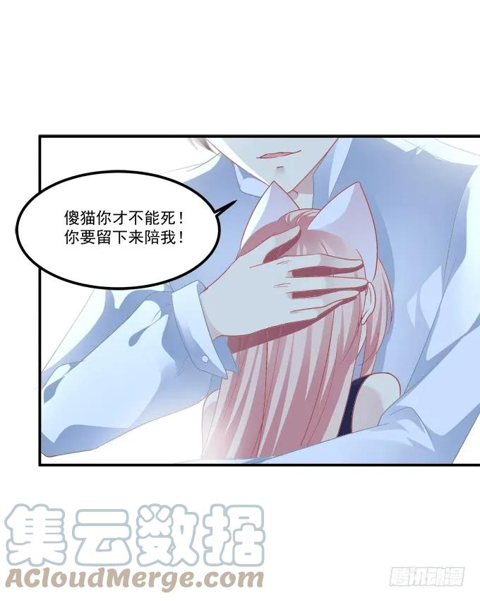 《猫妖的诱惑》凤凰冢十四 第52页