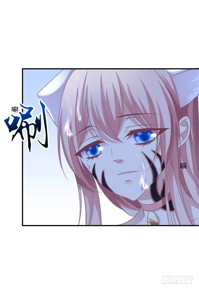 《猫妖的诱惑》凤凰冢十四 第35页
