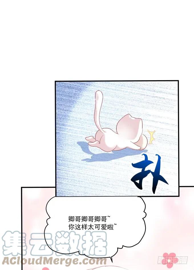 《猫妖的诱惑》凤凰冢十五 第40页