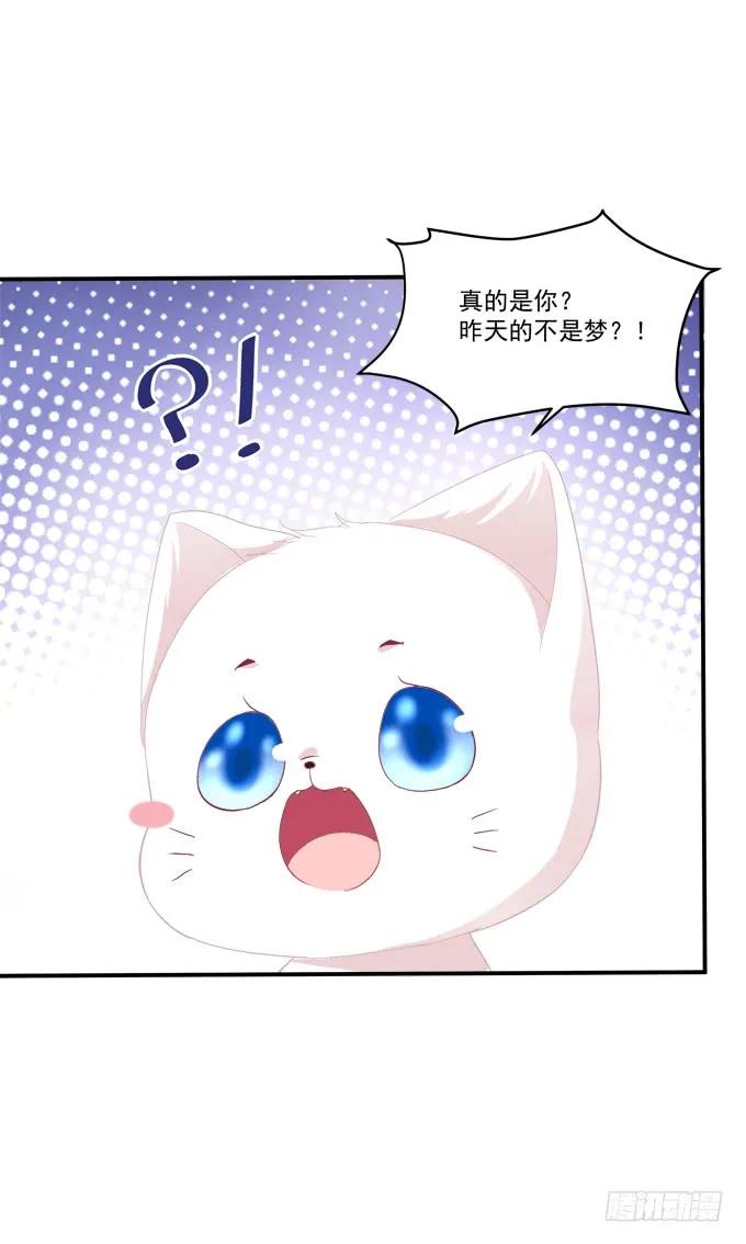 《猫妖的诱惑》凤凰冢十五 第39页