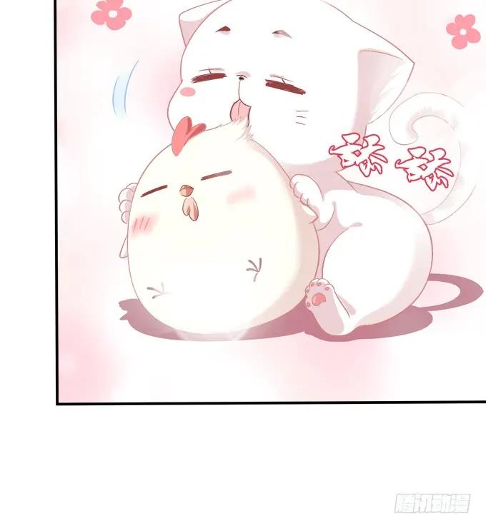 《猫妖的诱惑》凤凰冢十五 第41页