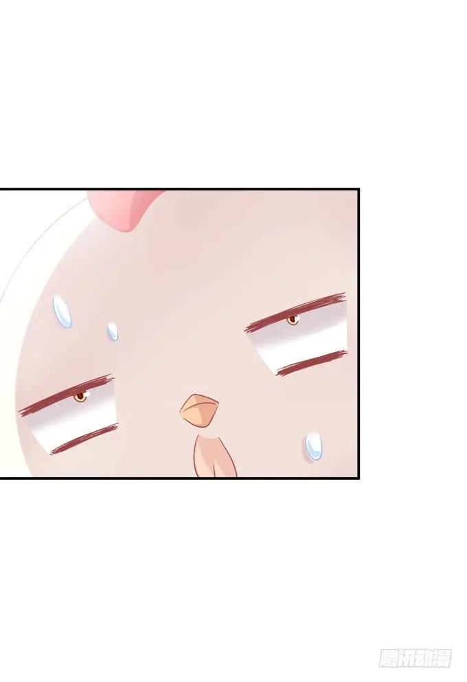 《猫妖的诱惑》凤凰冢十五 第42页