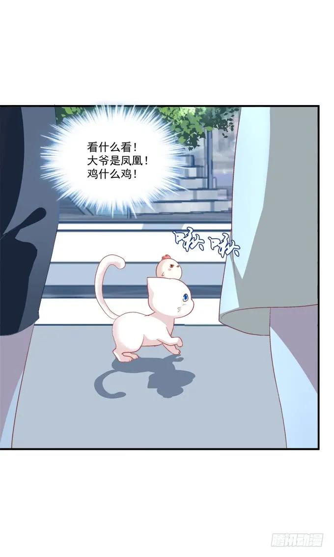 《猫妖的诱惑》凤凰冢十五 第45页