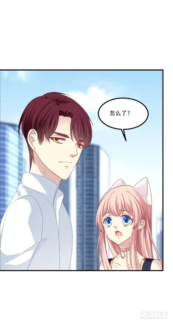 《猫妖的诱惑》凤凰冢十六 第24页