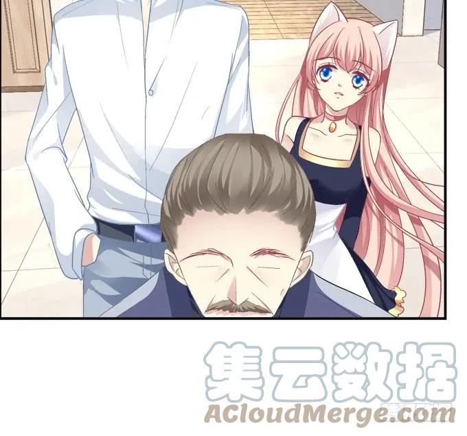 《猫妖的诱惑》凤凰冢十六 第49页