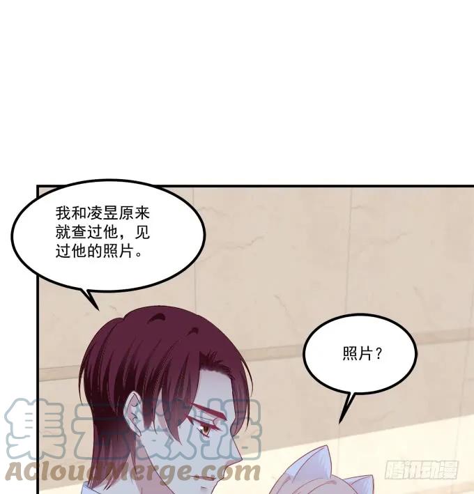《猫妖的诱惑》凤凰冢十六 第43页