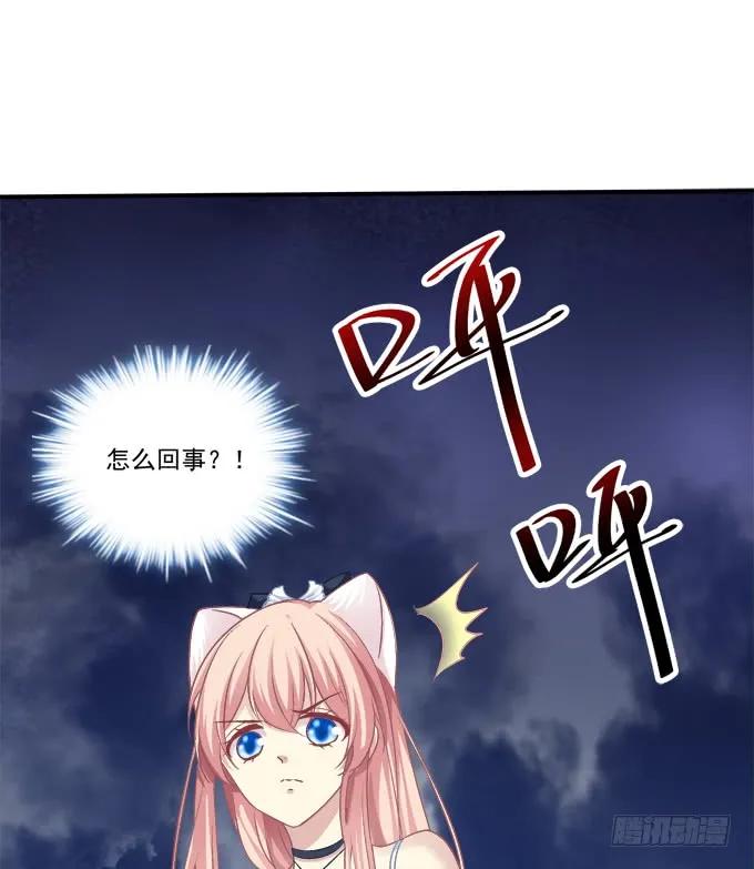 《猫妖的诱惑》凤凰冢十七 第32页