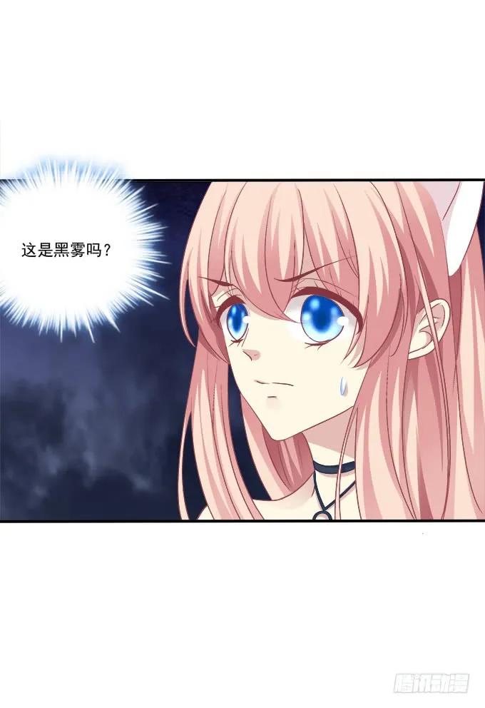 《猫妖的诱惑》凤凰冢十七 第35页