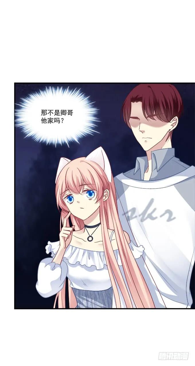 《猫妖的诱惑》凤凰冢十八 第14页