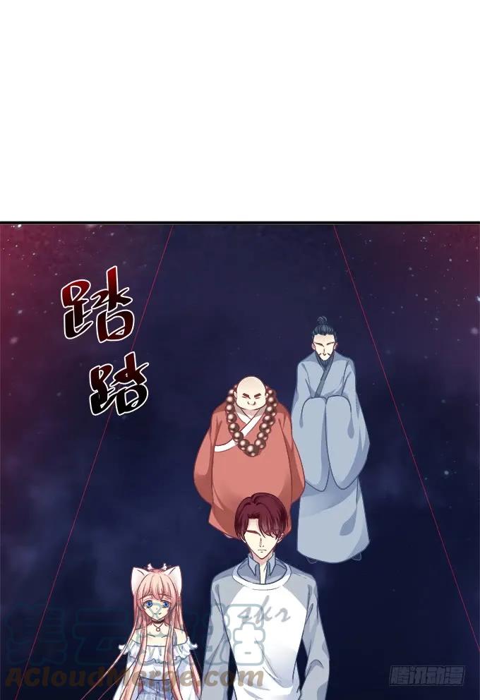 《猫妖的诱惑》深情滚滚，在线求收养 第3页