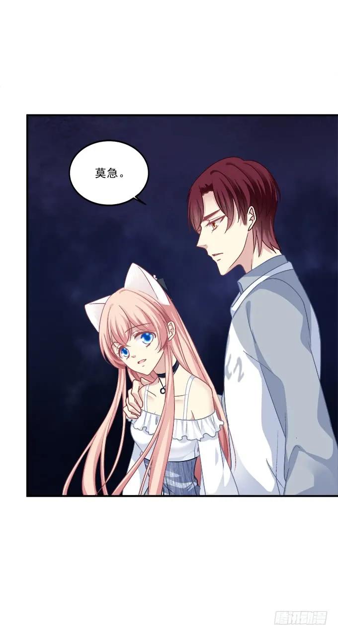《猫妖的诱惑》深情滚滚，在线求收养 第43页