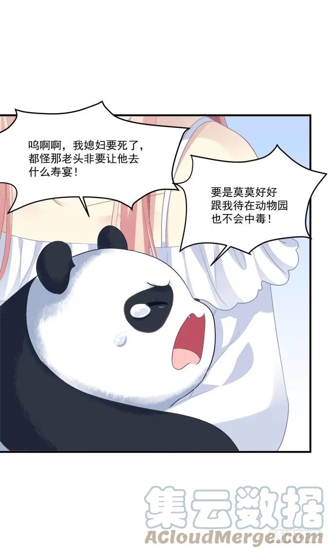 《猫妖的诱惑》我不会让你死在我面前 第49页