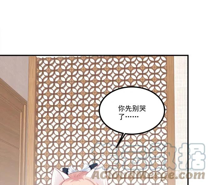 《猫妖的诱惑》我不会让你死在我面前 第43页
