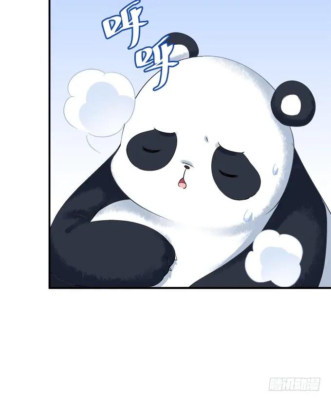《猫妖的诱惑》我不会让你死在我面前 第42页