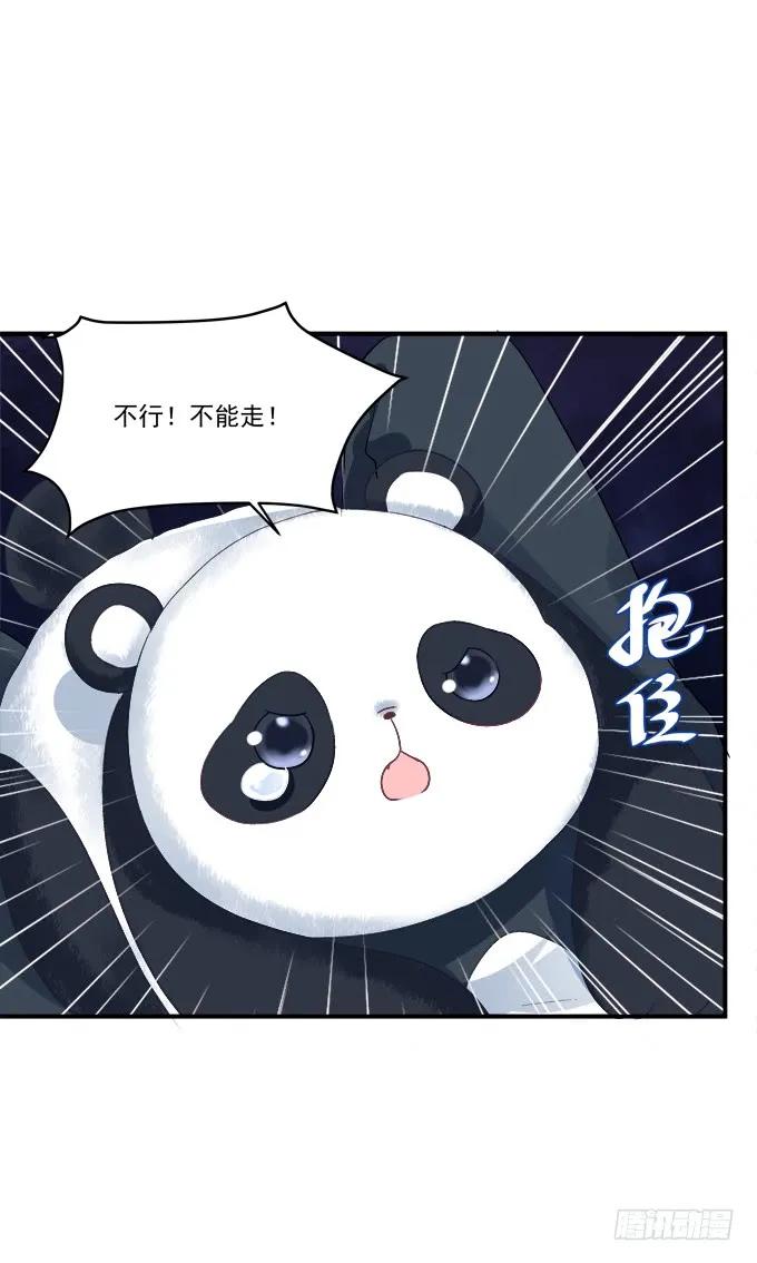 《猫妖的诱惑》我不会让你死在我面前 第11页