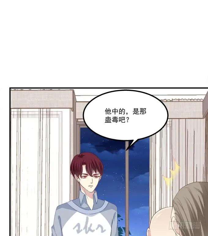 《猫妖的诱惑》我不会让你死在我面前 第47页