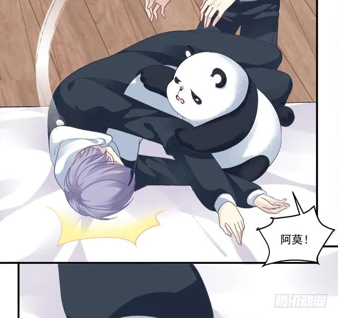 《猫妖的诱惑》我不会让你死在我面前 第33页