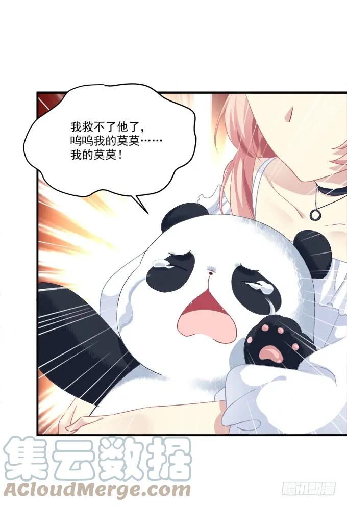 《猫妖的诱惑》我不会让你死在我面前 第52页