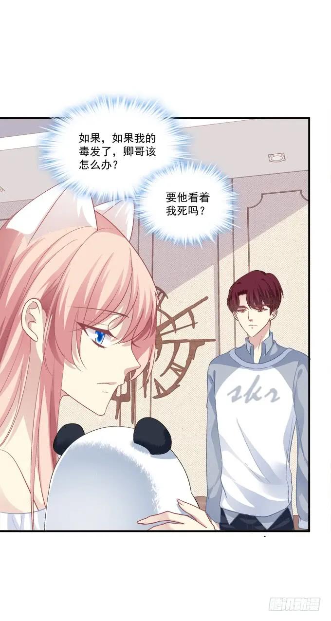 《猫妖的诱惑》我不会让你死在我面前 第53页