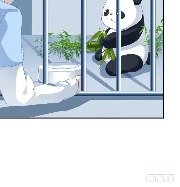 《猫妖的诱惑》让我饲养你！ 第38页
