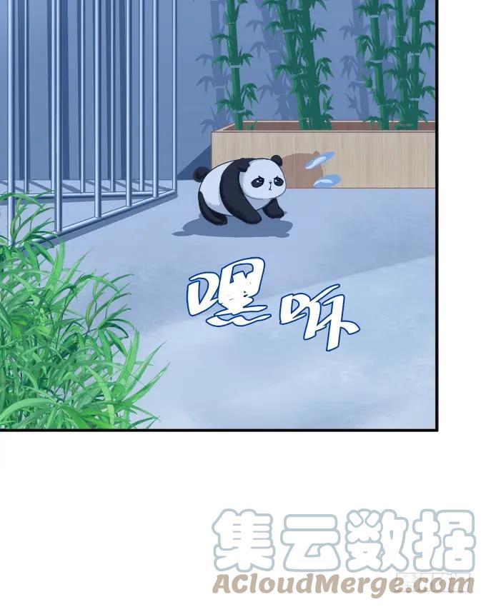 《猫妖的诱惑》让我饲养你！ 第42页