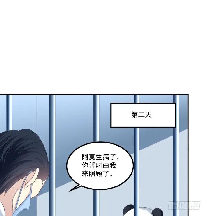 《猫妖的诱惑》让我饲养你！ 第37页