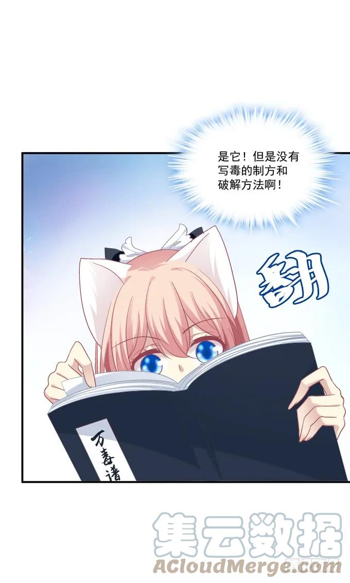 《猫妖的诱惑》你是我的 第31页