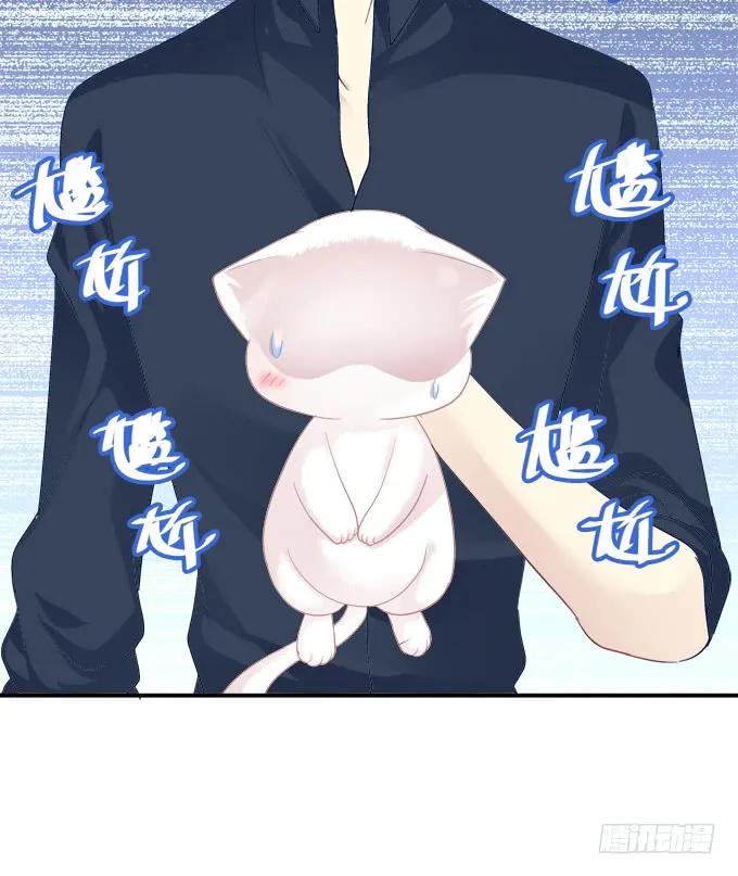 《猫妖的诱惑》偷腥被抓 第41页