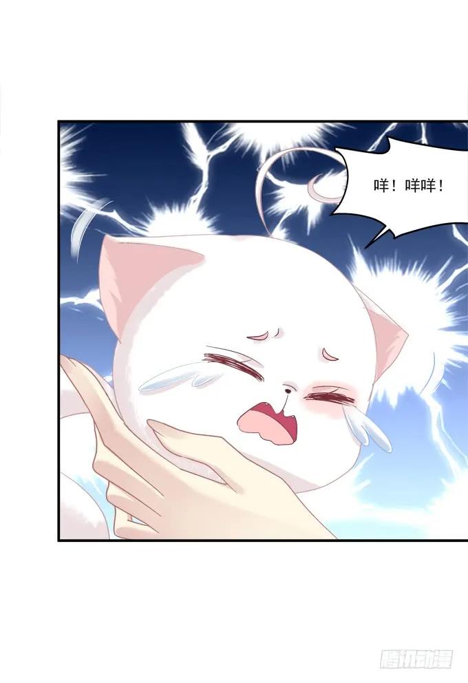 《猫妖的诱惑》偷腥被抓 第54页