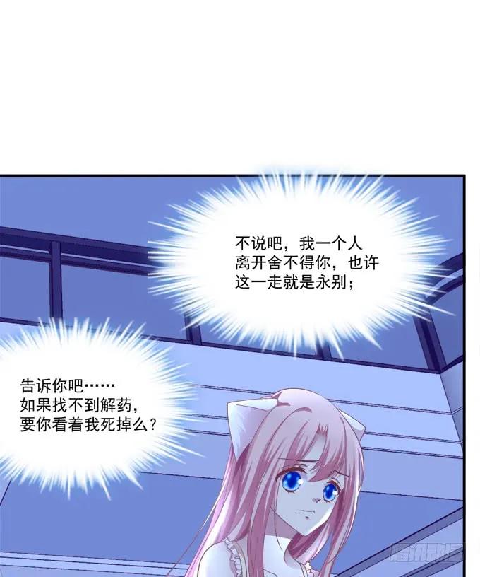 《猫妖的诱惑》偷腥被抓 第47页