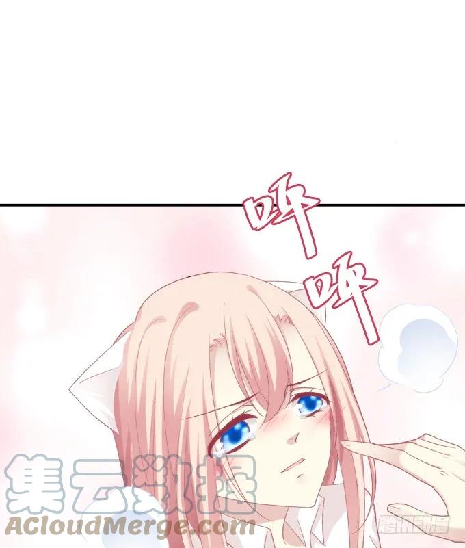 《猫妖的诱惑》偷腥被抓 第19页
