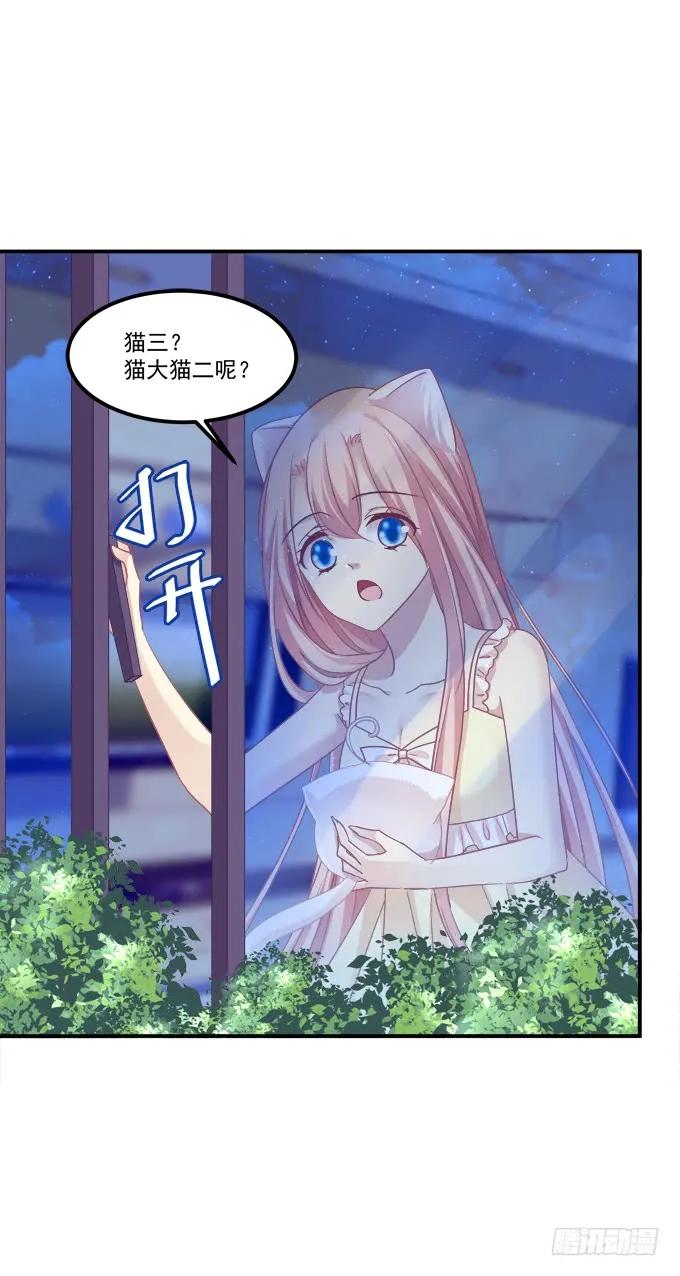 《猫妖的诱惑》偷腥被抓 第53页