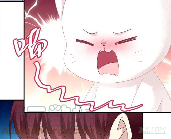 《猫妖的诱惑》偷腥被抓 第31页