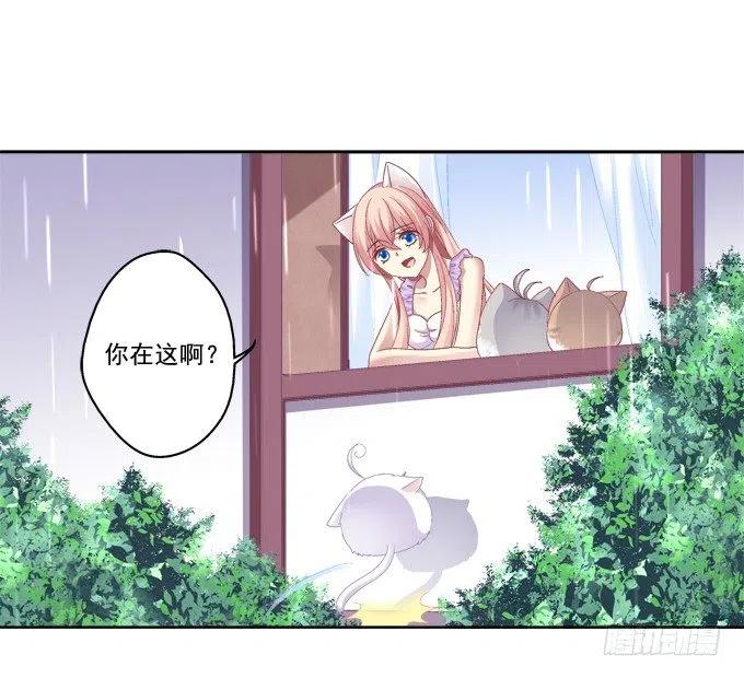 《猫妖的诱惑》卿哥的照？ 第18页
