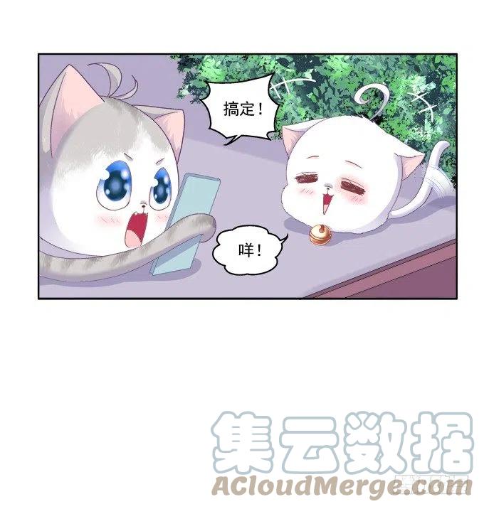 《猫妖的诱惑》卿哥的照？ 第37页